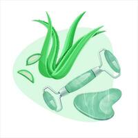 Gua sha scraper, jade roller for facial massage and aloe leaves. vector