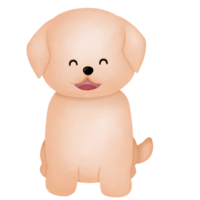 Dog in Summer Graphic png