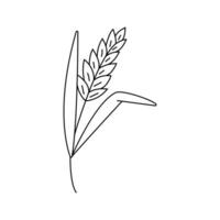 Vector illustration of wheat, spikelet in doodle style