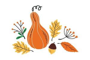 Vector fall print with hand drawn botanical elements.  Autumn illustration with squash, oak leaf, berries, acorn. Cute elements for cards, textile, design.