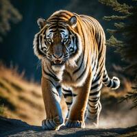 photo of big tiger running in the forest, generative AI