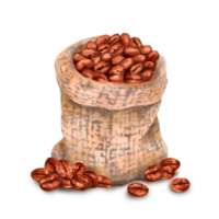 Coffee beans in a woven canvas bag. Aroma of Robusta and Arabica varieties. International Coffee Day.Production, harvesting.Illustration with watercolor and marker. Isolated hand drawn art. png