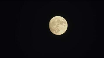 voll Mond im dunkel Nacht Filmaufnahme. video