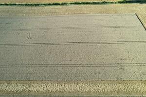 High Angle Panoramic Landscape View of British Agricultural Farms at Countryside Landscape of Sharpenhoe Clappers, Luton City of England UK. Footage Captured on August 19th, 2023 photo