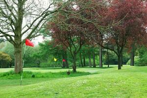 Gorgeous Low Angle View of Local Public Park of Luton England UK photo