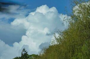 Gorgeous Low Angle View of Local Public Park of Luton England UK photo