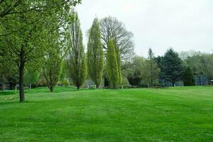 Gorgeous Low Angle View of Local Public Park of Luton England UK photo