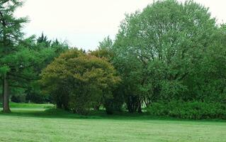 Gorgeous Low Angle View of Local Public Park of Luton England UK photo