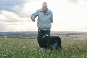 An Old Man is on Evening Walk Along his Dog with big Hair at Countryside Landscape of Luton England During Sunset. Image Was Captured on August 19th, 2023 photo