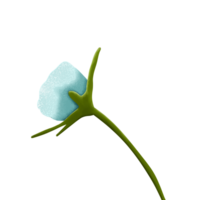 waterverf bloem knop png