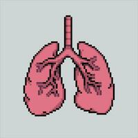 píxel Arte ilustración pulmones. pixelado pulmones. livianos Organo icono pixelado para el píxel Arte juego y icono para sitio web y vídeo juego. antiguo colegio retro vector