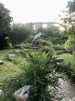 Singapore, August 31 2023 Garden by the bay and view of skyscrapers see Marina Bay View of business district photo