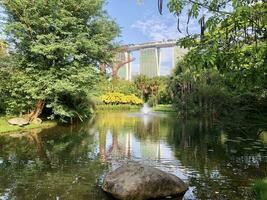 Singapur, agosto 31 2023 jardín por el bahía y ver de rascacielos ver centro de deportes acuáticos bahía ver de negocio distrito foto