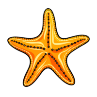 Ai generated starfish with orange and black stripes on a transparent background png