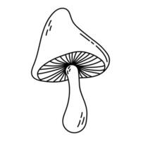 Simple vector doodle. Sketch drawing of forest mushroom. Easy to change color.