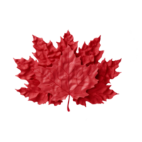 Maple Leaf Isolated On Transparent Background generative with ai png