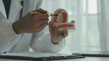 Male dentist with plastic jaw model on light background video