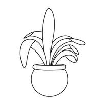 Houseplant outline. Doodle houseplant isolated on white background. Vector illustration.