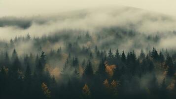 Generative AI, Misty autumn fir forest beautiful landscape in hipster vintage retro style, foggy mountains and trees. photo