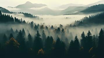 Generative AI, Misty autumn fir forest beautiful landscape in hipster vintage retro style, foggy mountains and trees. photo