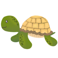 cute sea turtle png