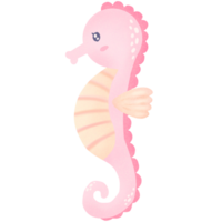 cute sea horse png