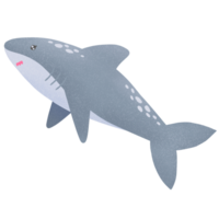 linda mar tiburón png