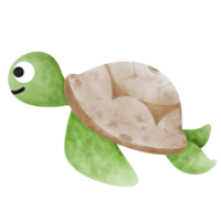 Turtle cute cartoon character watercolor painting. png