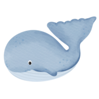 blue whale isolated on white. png