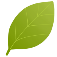 groene blad illustratie png