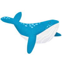 cute sea whale png