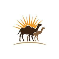 Camel Icon Vector illustration