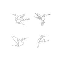 colibrí línea ilustración vector