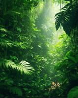 Deep jungle for animal photo
