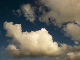 Fluffy clouds over sunset sky and a bird. Fluffy cumulus cloud shape photo, gloomy cloudscape background, smoke in the sky photo