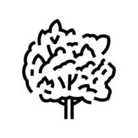 macadamia árbol selva Amazonas línea icono vector ilustración
