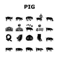 pork pig farm animal piglet hog icons set vector