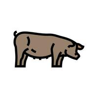 pig field animal color icon vector illustration