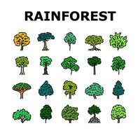 rainforest jungle amazon nature icons set vector