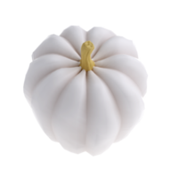 3d white realistic pumpkin rendering icon in cartoon style. Design element for Thanksgiving Day holiday autumn. illustration transparent png