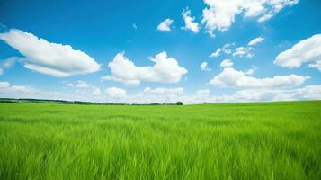 hermosa paisaje con un campo de trigo creado con ai foto