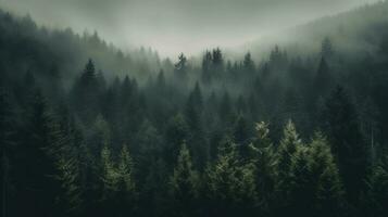 foggy forest with fog and trees Created with AI photo