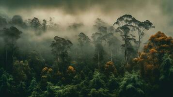 foggy morning in the australian forest Created with AI photo