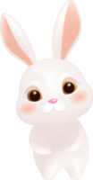 Hand-drawn cartoon cute rabbit png