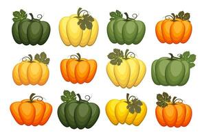 Set of autumn pumpkins. Illustration, icons, templates, vector