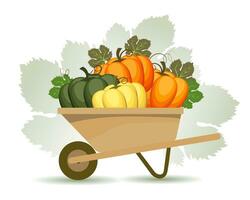 Thanksgiving illustration. Colorful pumpkins in a garden cart and congratulatory text. Postcard, vector