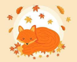 Cute sleeping fox with autumn leaves. Illustration for children, autumn print, vector