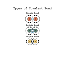 A covalent bond is a chemical bond that involves the sharing of electrons to form electron pairs between atoms, Scientific Designing Of Covalent Bond Types, Polar, Coordinate Bonds Types png