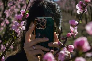 joven mujer en melocotón campo en primavera tomando fotos