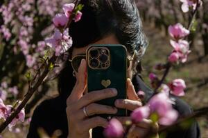 joven mujer en melocotón campo en primavera tomando fotos